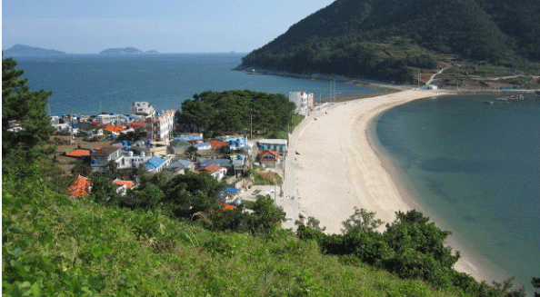 비진도.gif