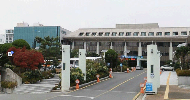 시청.gif