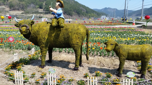 3자연학습장 튤립 꽃밭 개장1.jpg