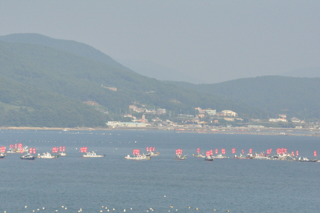 3DSC_2263.JPG