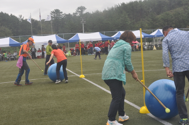 111DSC_1302.JPG