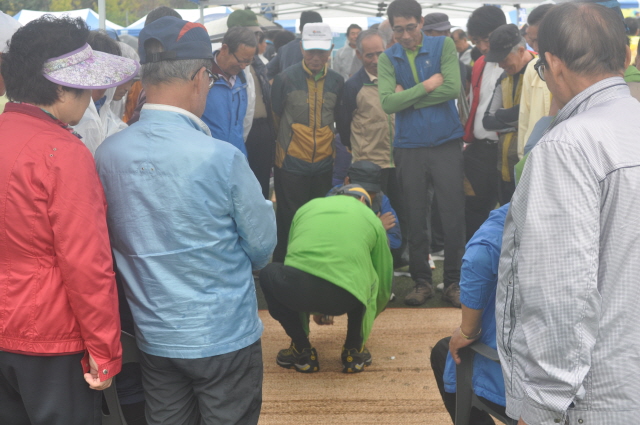 111DSC_1281.JPG