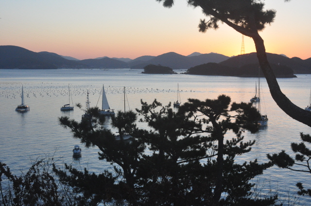 0001DSC_0074.JPG