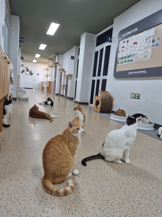 KakaoTalk_20260819_235348003_01.jpg