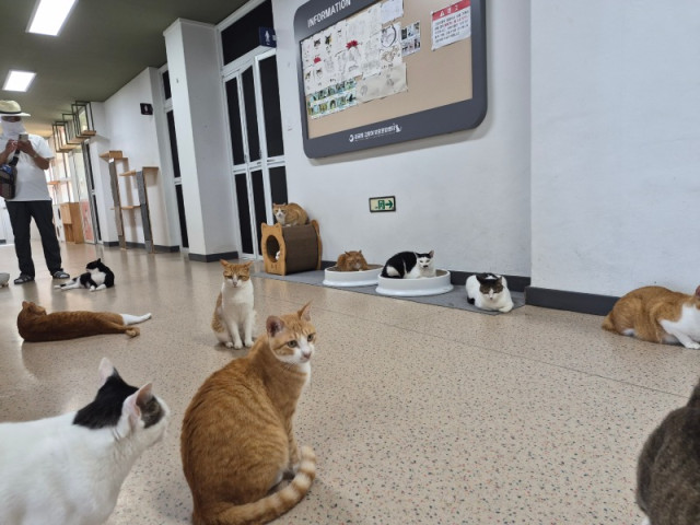 KakaoTalk_20260819_235348003_03.jpg